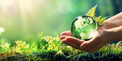 Bild von einer in zwei Händen gehaltenen Welt-Glaskugel vor grün blühendem Hintergrund