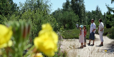 Bild mit Blick auf eine Gruppe aus Erwachsenen und Kindern im Ökologisch-Botanischen Garten